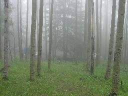 Baldy Town Campsite